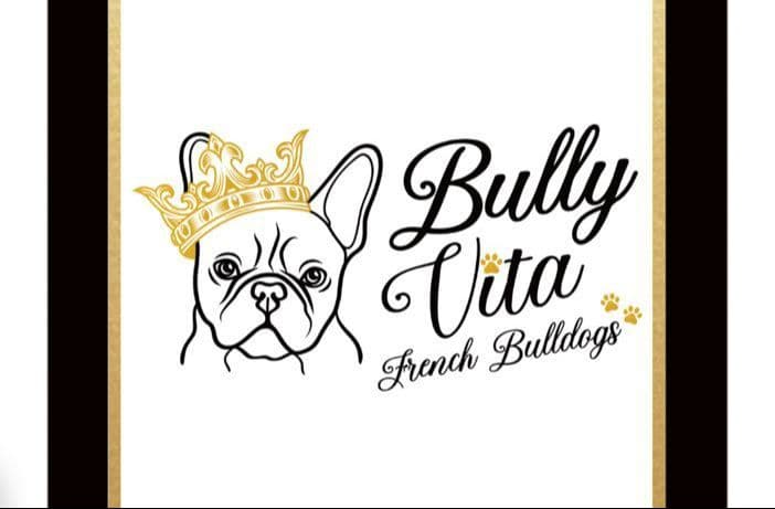Bully Vita French Bulldog Puppies breeder image 1
