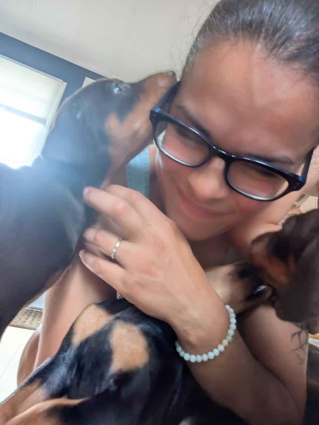 Doberman Pinscher Pups media 4