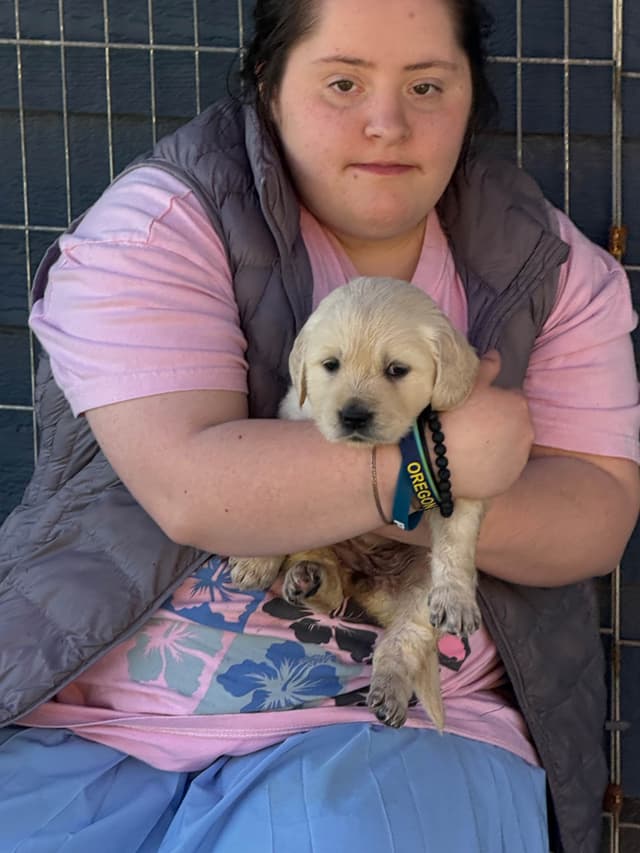Golden Retriever Puppies media 16