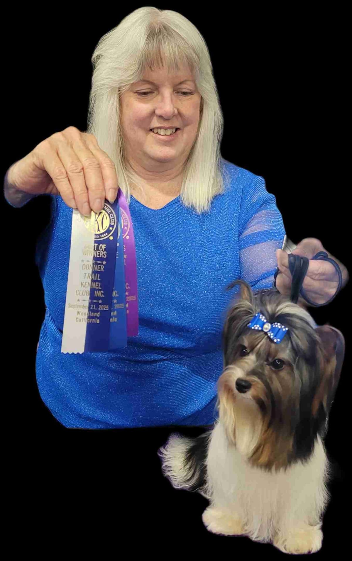 Biewer Terrier Puppies breeder image 1