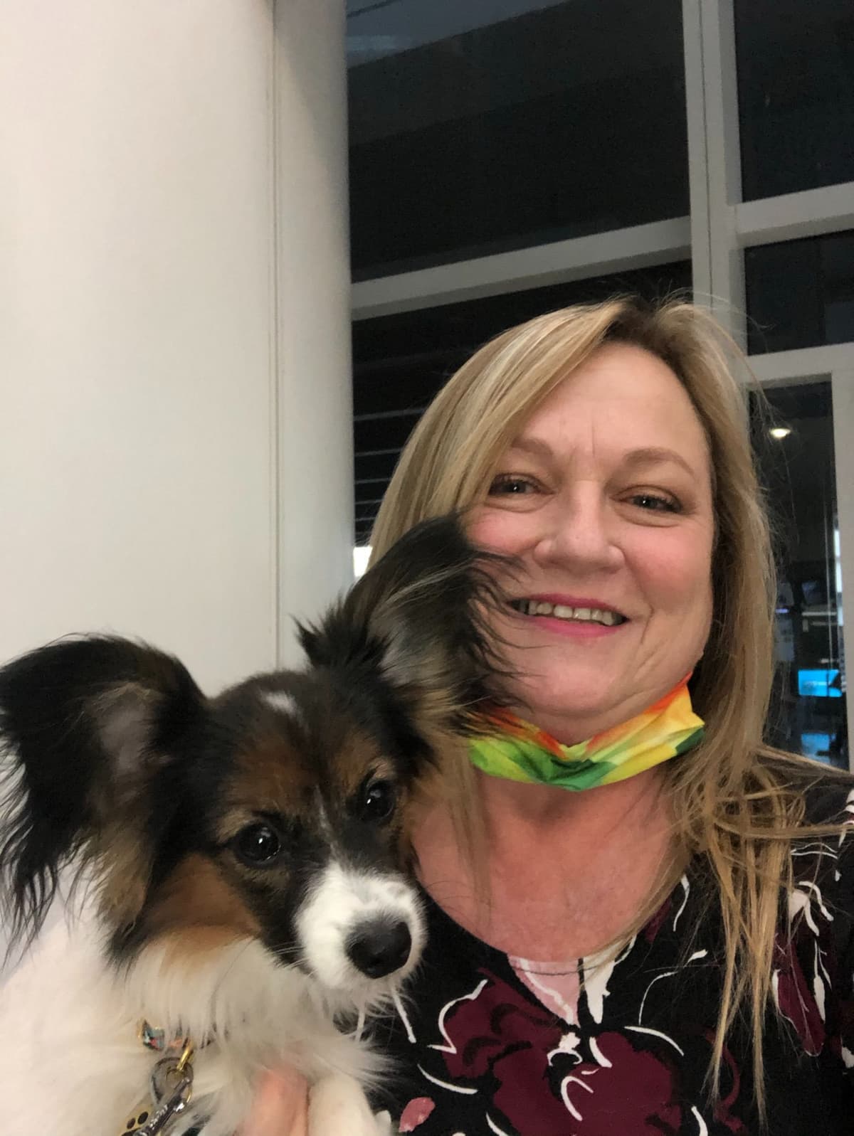 McKenney Virginia - Energetic Tri-colored Papillon puppies - Males breeder image 16