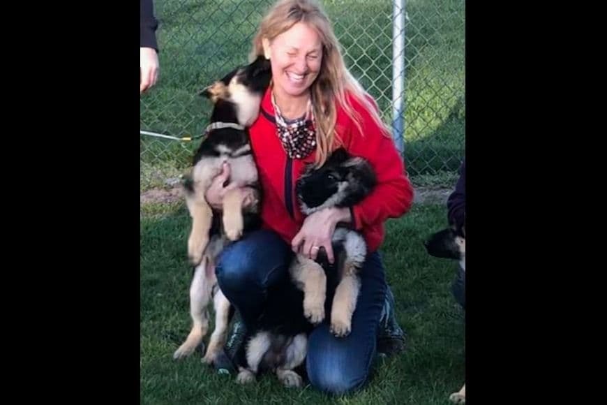 German Shepherd Dog Puppies-Parents are Champions and Health Tested. breeder image 1