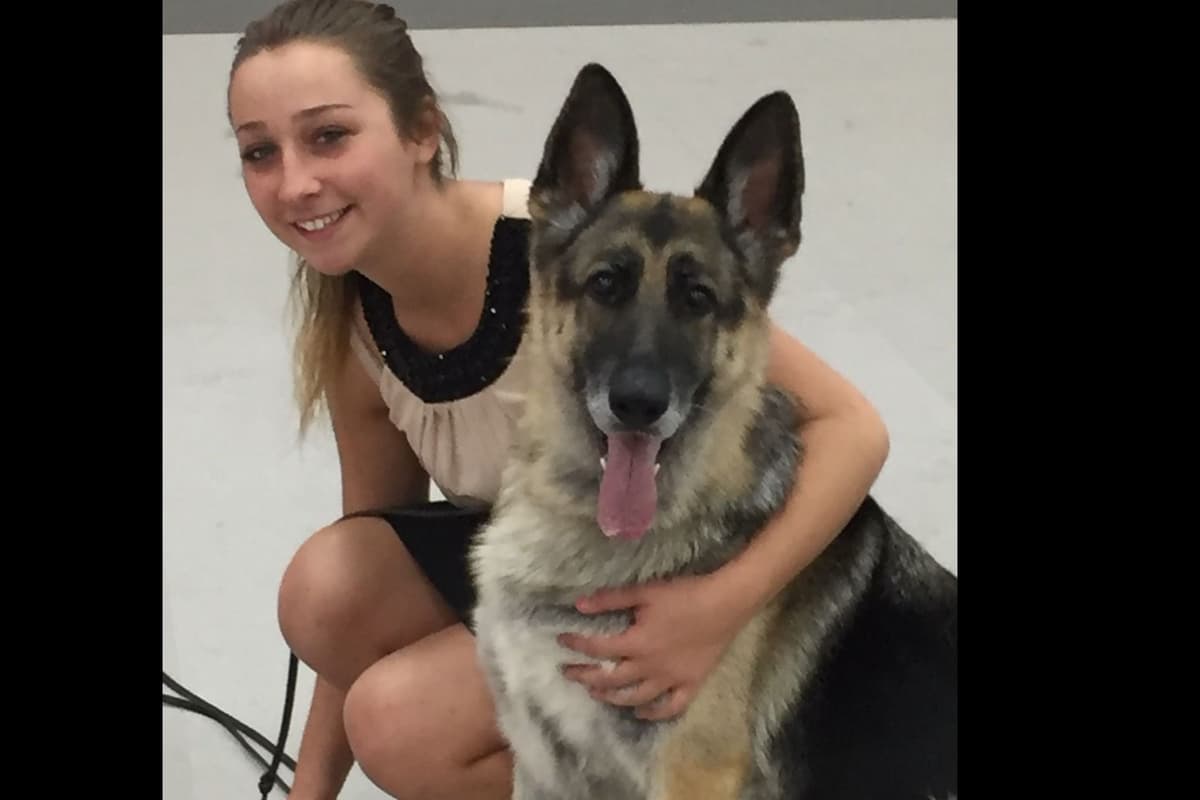German Shepherd Dog Puppies-Parents are Champions and Health Tested. breeder image 11