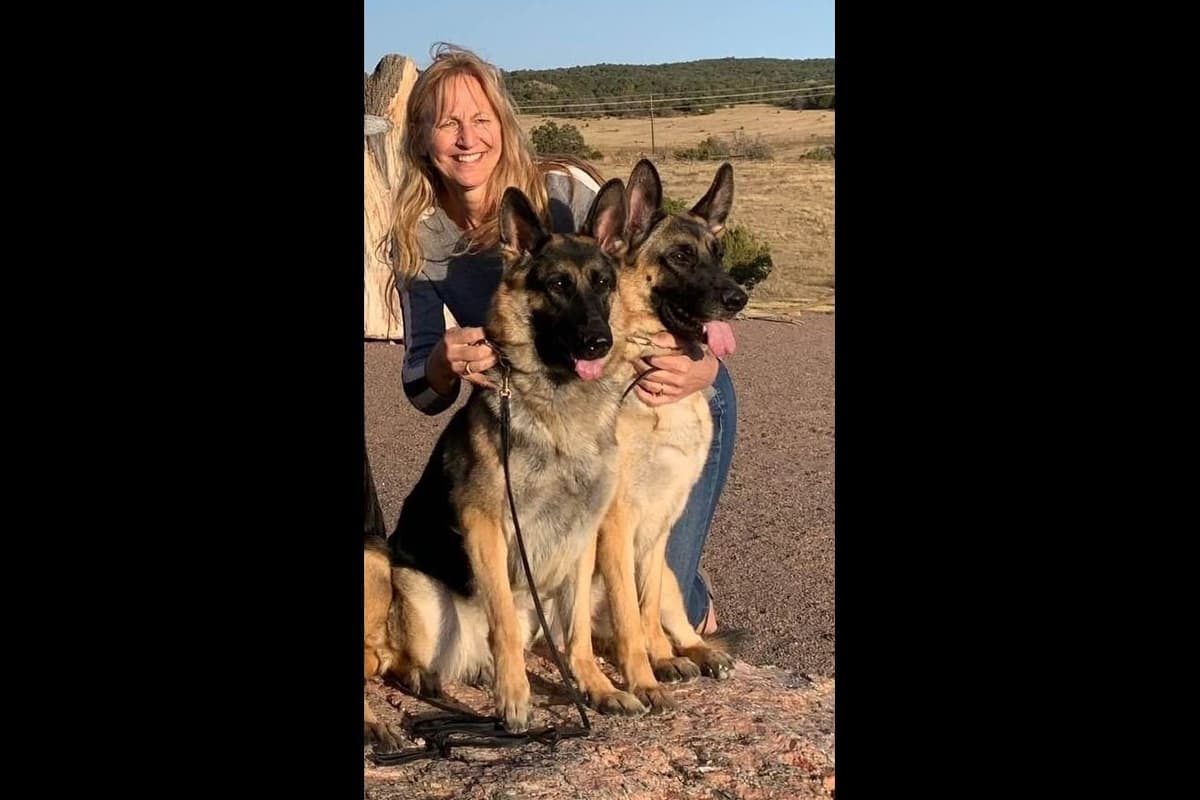 German Shepherd Dog Puppies-Parents are Champions and Health Tested. breeder image 3