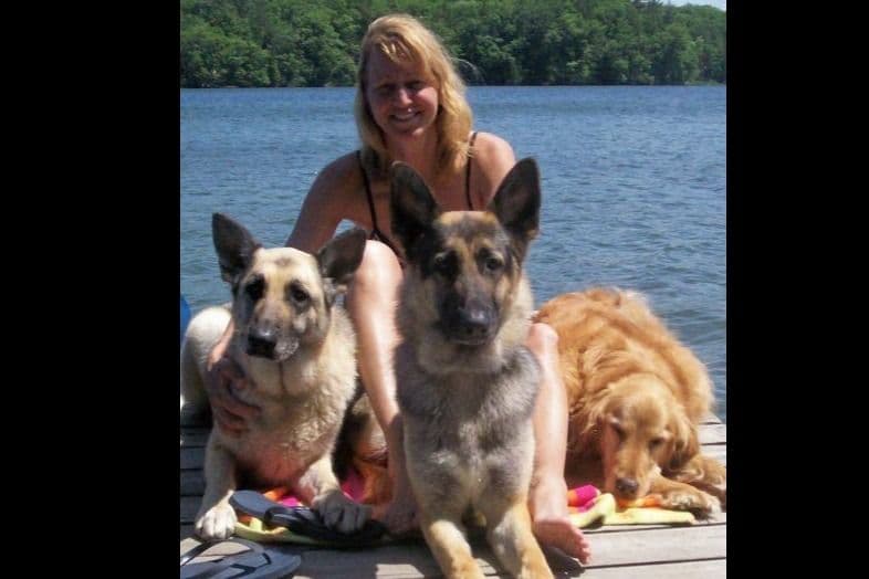 German Shepherd Dog Puppies-Parents are Champions and Health Tested. breeder image 14