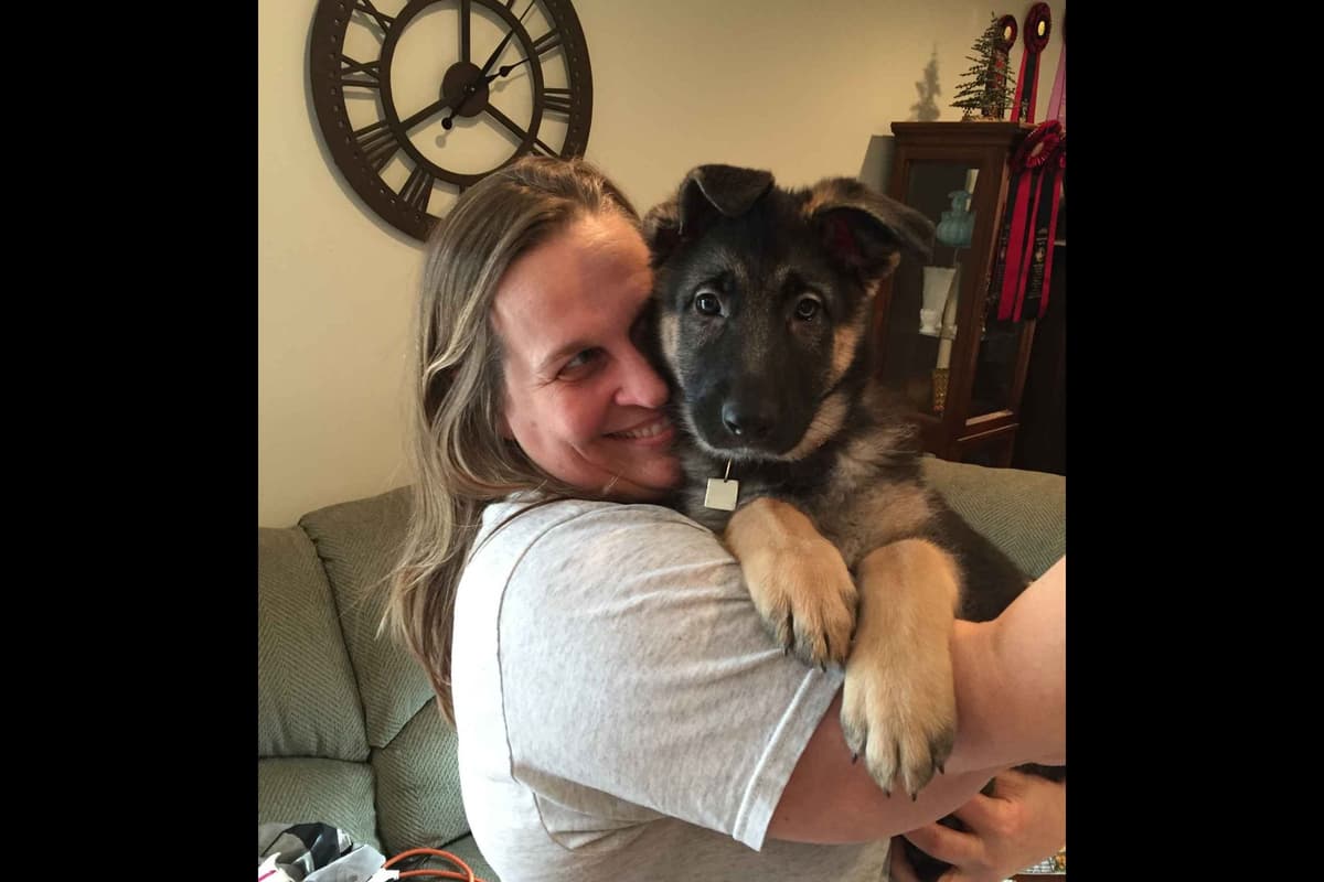 German Shepherd Dog Puppies-Parents are Champions and Health Tested. breeder image 16