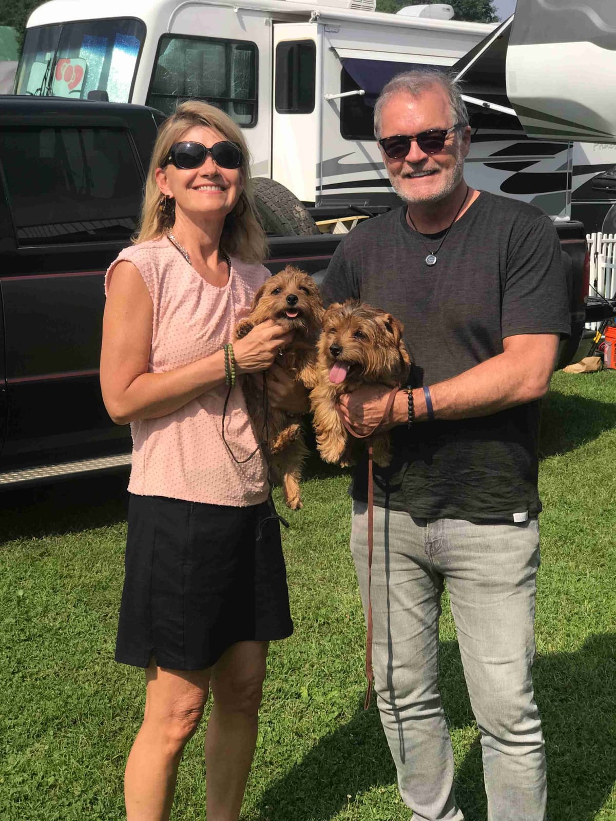 Norfolk Terrier Puppies breeder image 2