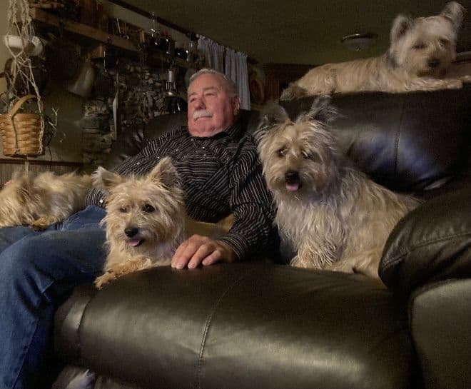 Cairn Terrier Puppies breeder image 18