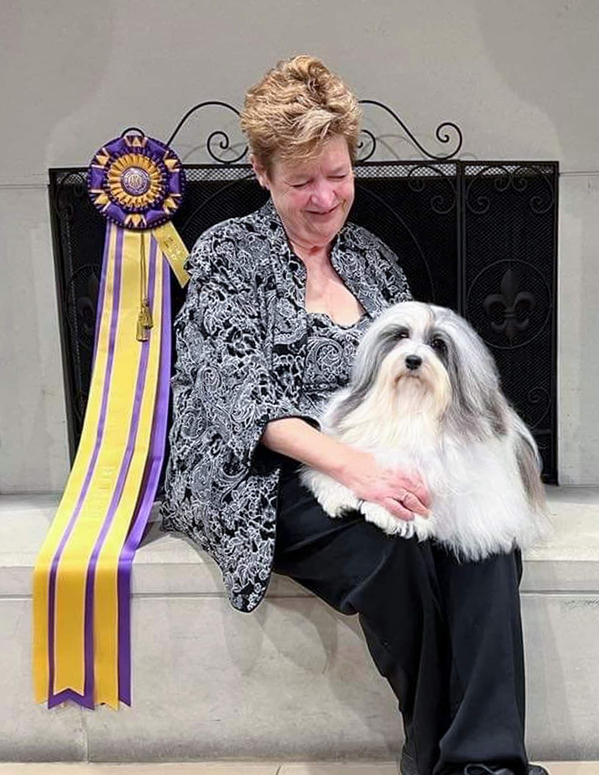 Havanese Puppies breeder image 4