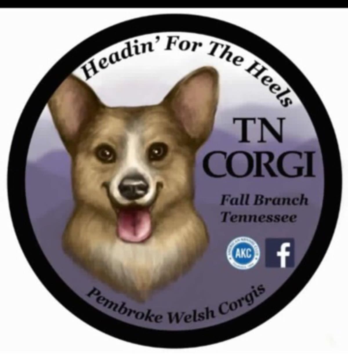 Pembroke Welsh Corgi Puppies breeder image 1