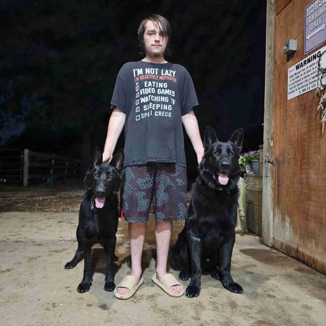AKC German Shepherd Puppies – Solid Black (Mid Missouri) media 26