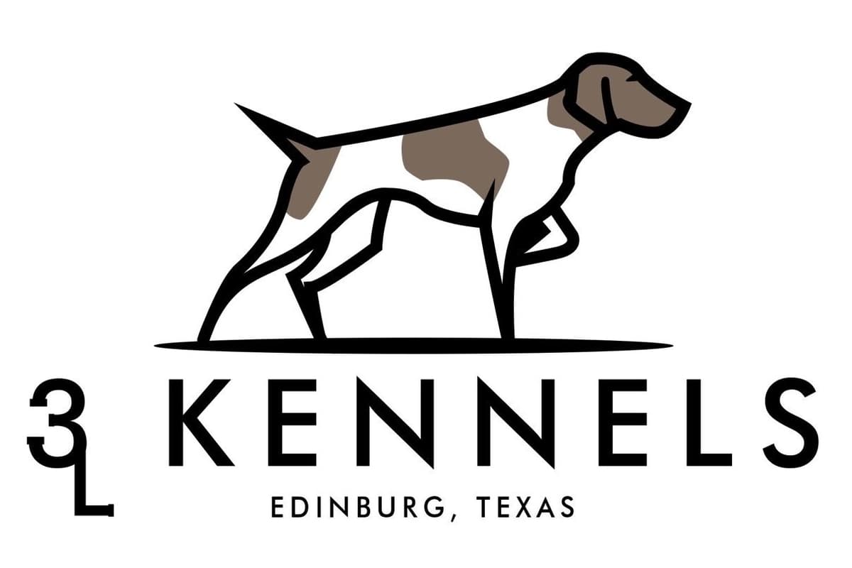 German Shorthaired Pointer Puppies breeder image 1