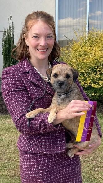 Border Terrier Puppies media 3