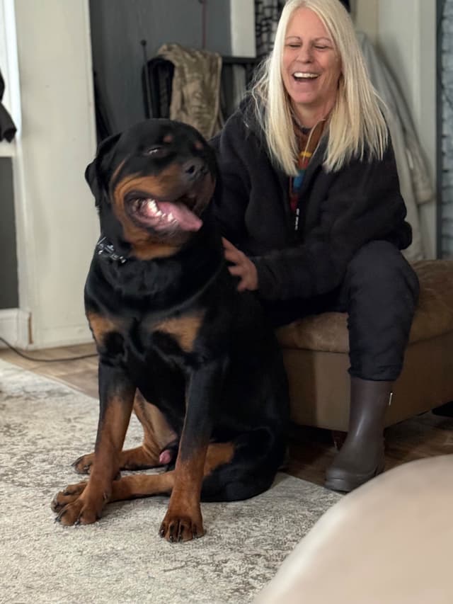 Beautiful 19mo Male “Bear”- must live within 1hr of Chardon, OH media 15