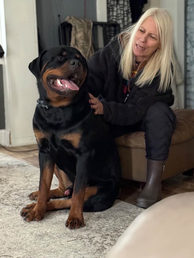 Beautiful 19mo Male “Bear”- must live within 1hr of Chardon, OH media 17