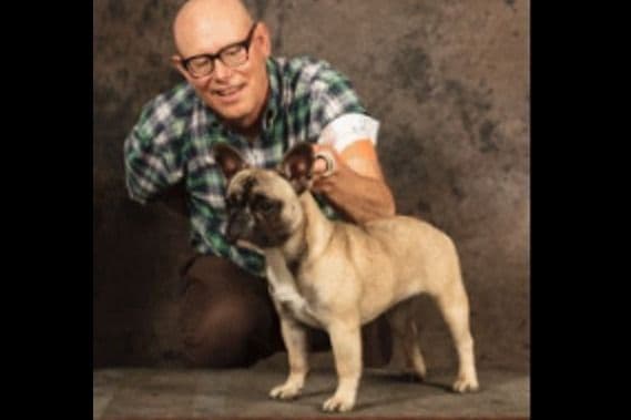 French Bulldog Puppies - Champion Parents breeder image 2