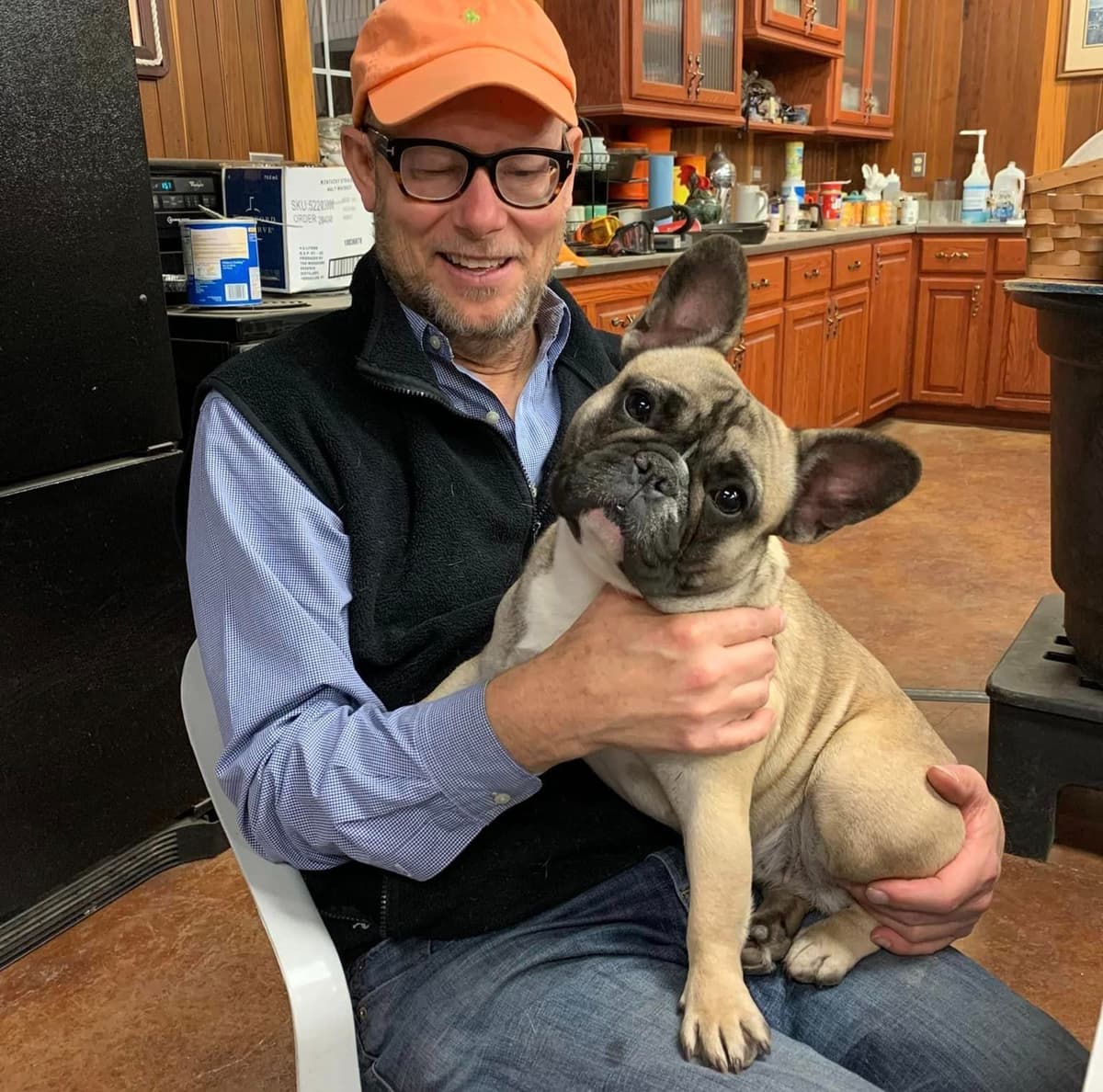 French Bulldog Puppies - Champion Parents breeder image 4