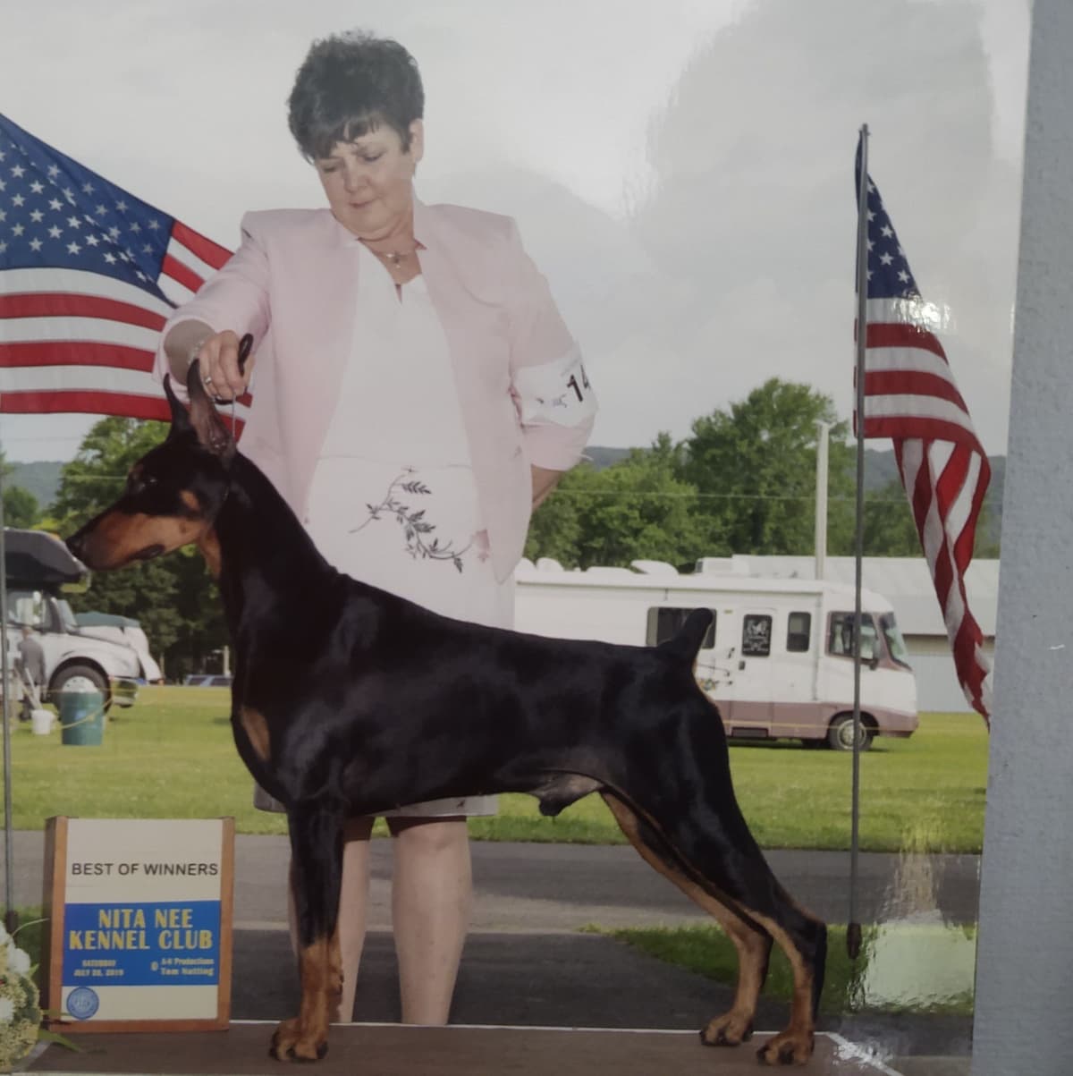 Doberman Pinscher Puppies breeder image 3