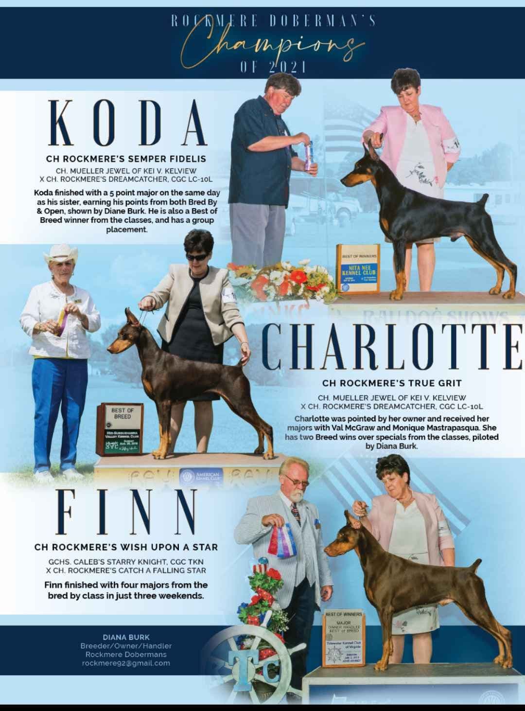 Doberman Pinscher Puppies breeder image 9
