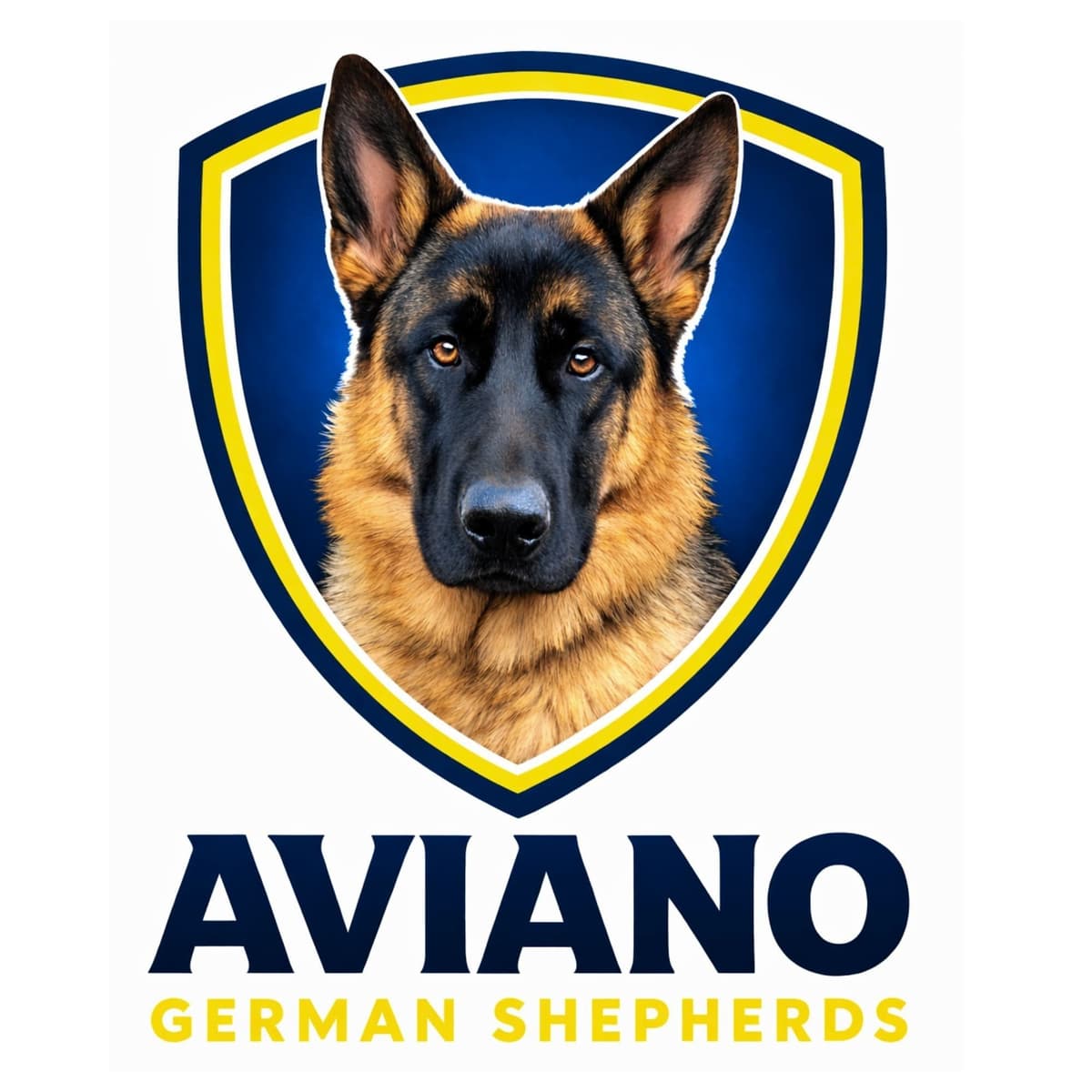 German Shepherd Dog Puppies breeder image 1