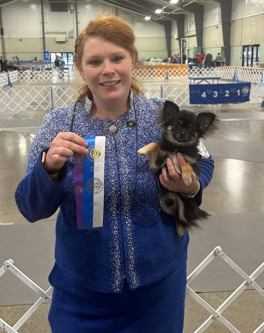 Chihuahua Puppies breeder image 17