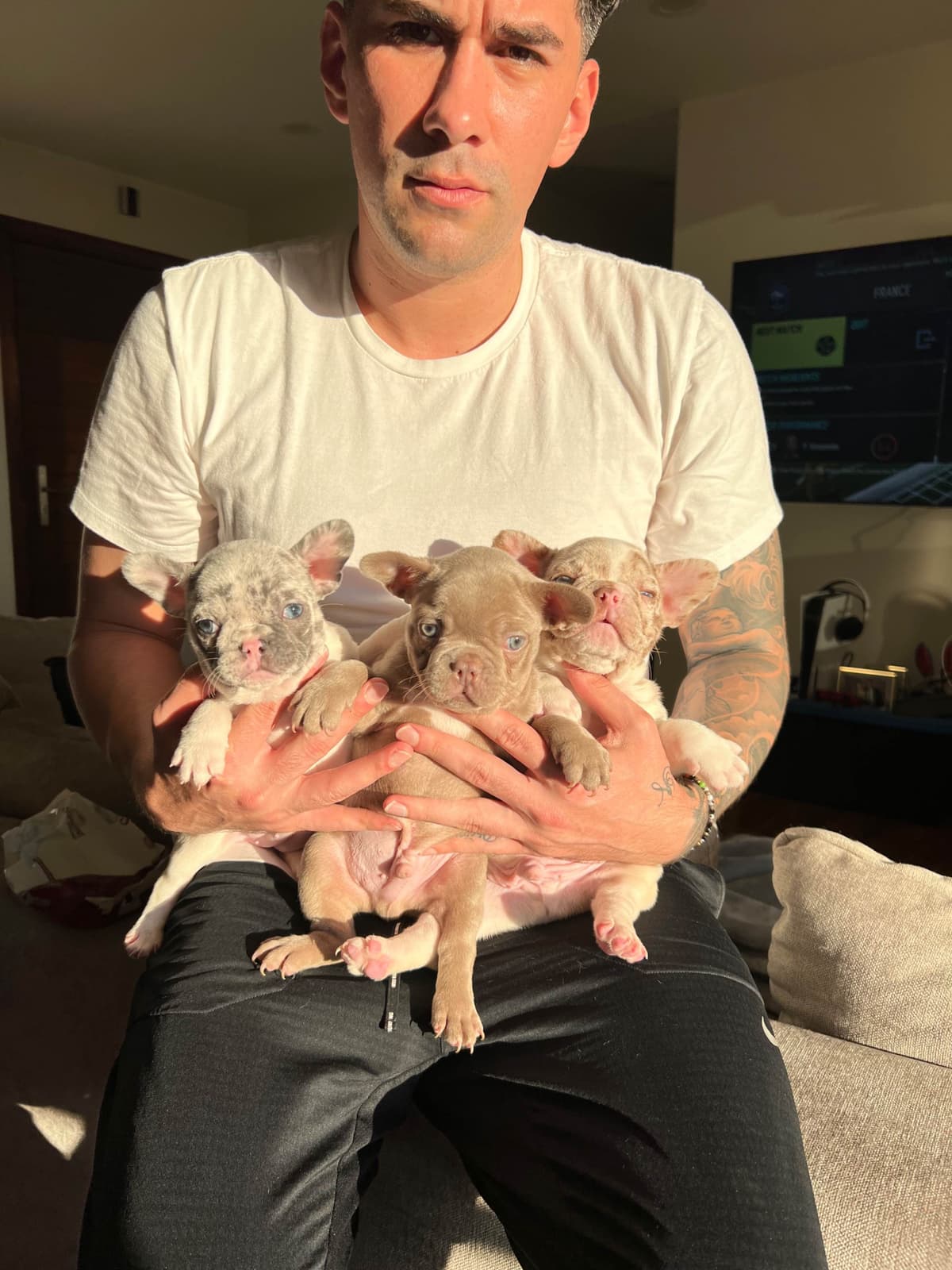 Full Litter FLUFF French Bulldog Puppies - San Diego breeder image 15