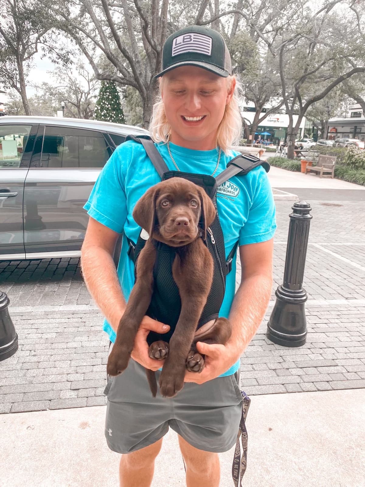 Labrador Retriever Puppies breeder image 4