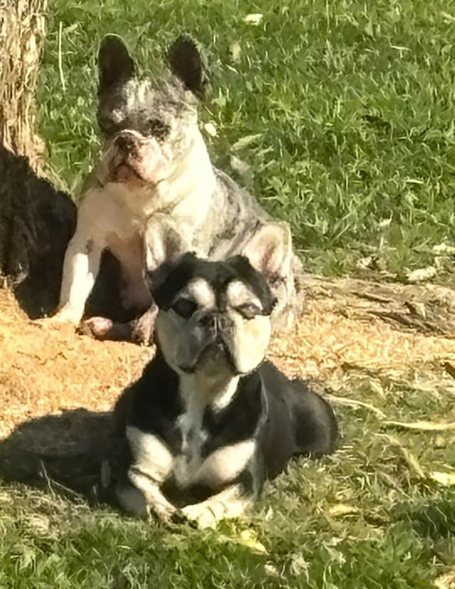 PD (A Pageant Choco dau)  & SeWea babies! 707-337-9223 media 13
