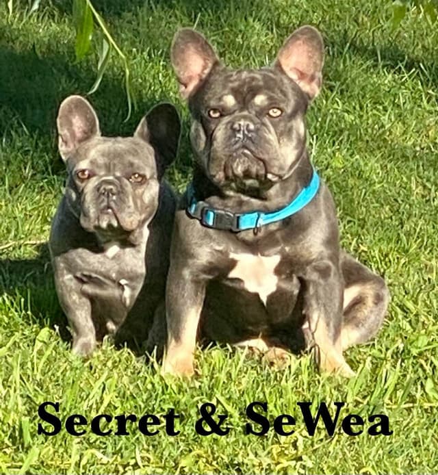 PD (A Pageant Choco dau)  & SeWea babies! 707-337-9223 media 16
