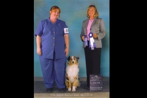 Miniature American Shepherd Puppies Gemma & Uri breeder image 13