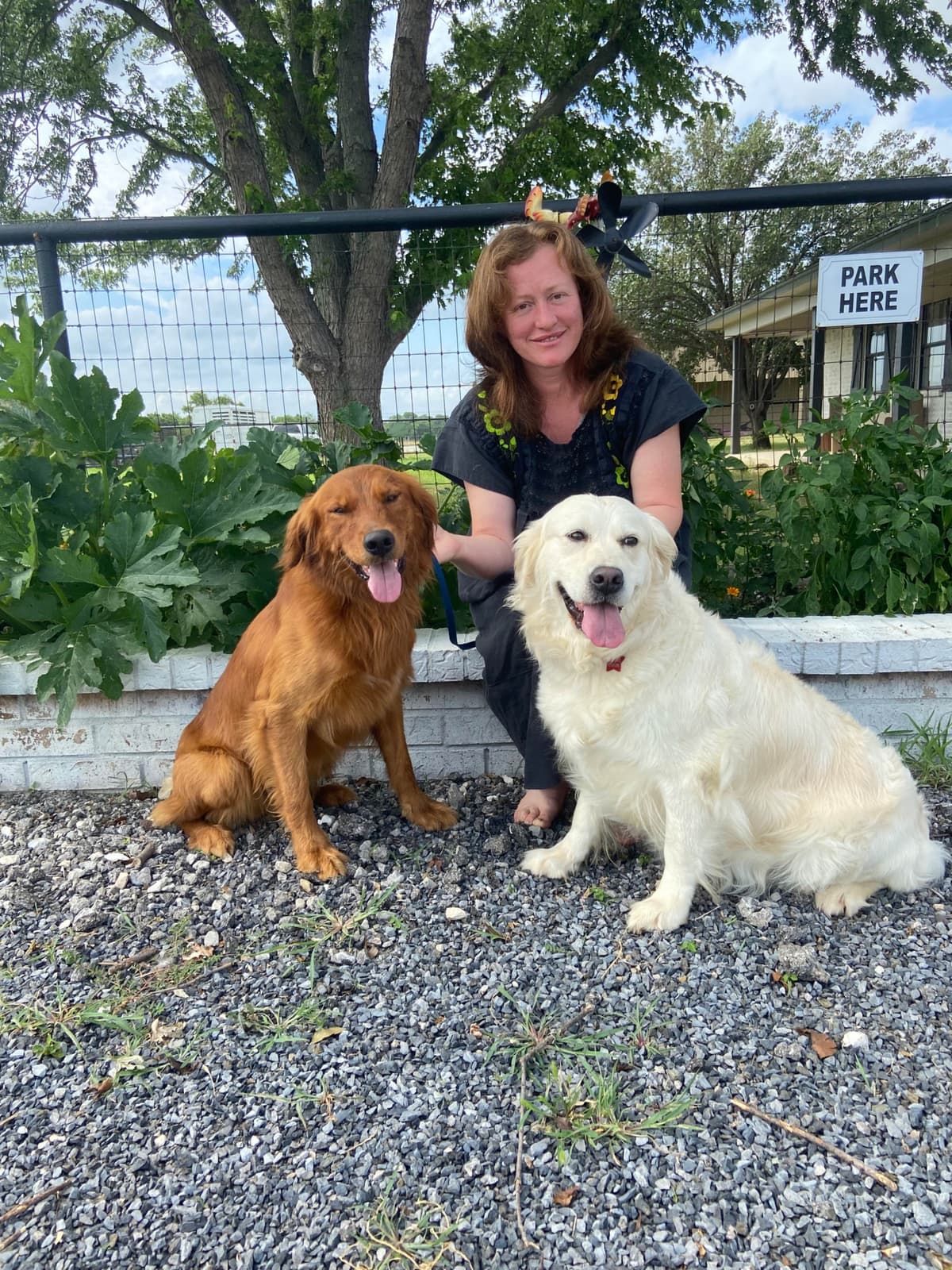 OFA CHIC + ECHO + Diversity Tested Parents breeder image 16