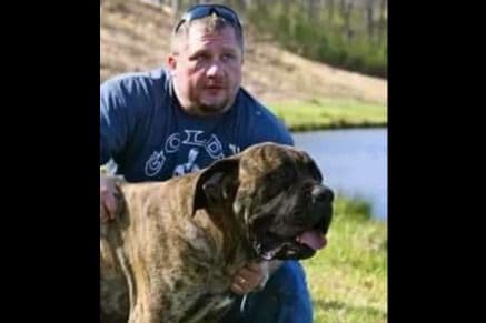 Mastiff Puppies breeder image 10
