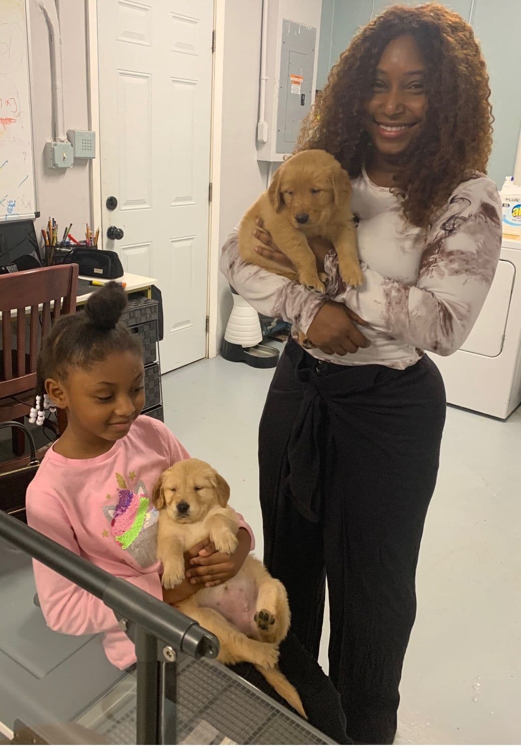Poodle Puppies breeder image 8
