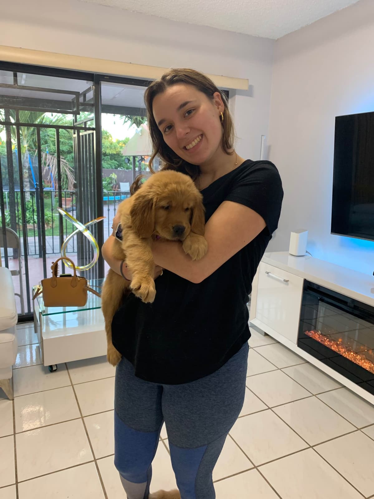 Poodle Puppies breeder image 12