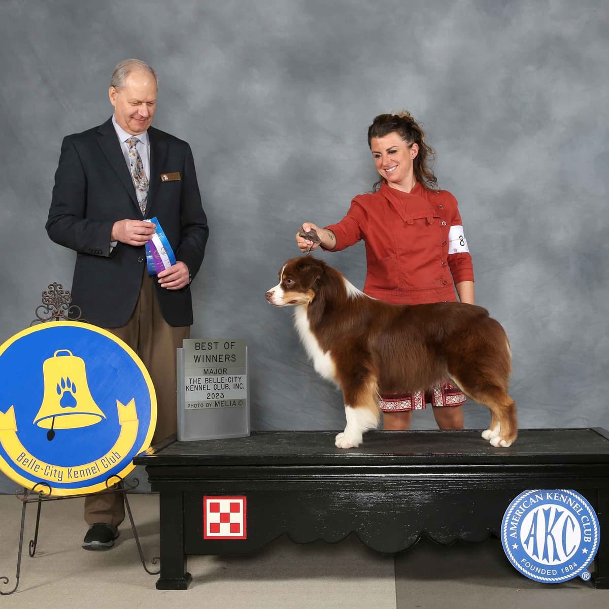 Australian Shepherd Puppies breeder image 4