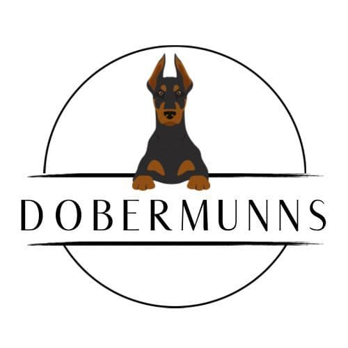 Doberman Pinscher Puppies breeder image 1
