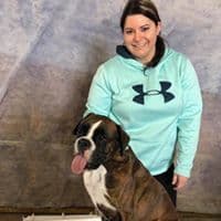 Boxer Puppies breeder image 6