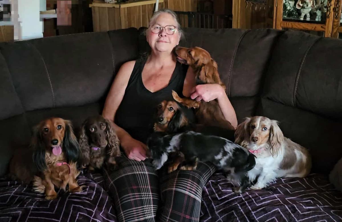Hattie & Bullet's litter breeder image 1