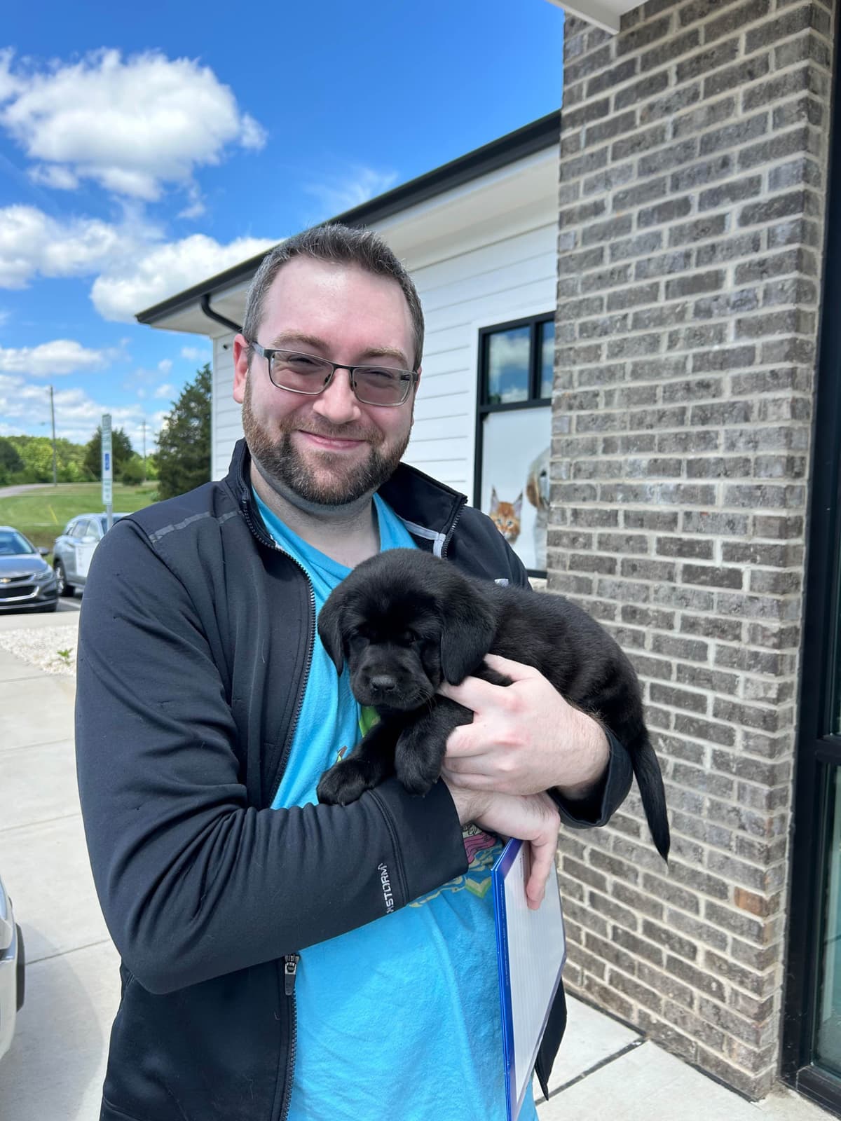 English Labrador Retriever Puppies - Raleigh NC breeder image 19