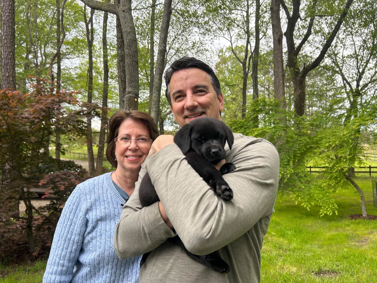 English Labrador Retriever Puppies - Raleigh NC breeder image 21
