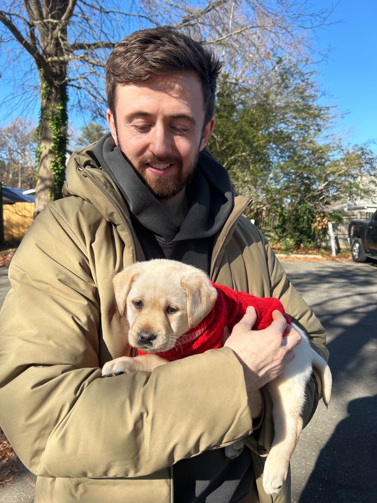 English Labrador Retriever Puppies - Raleigh NC breeder image 23