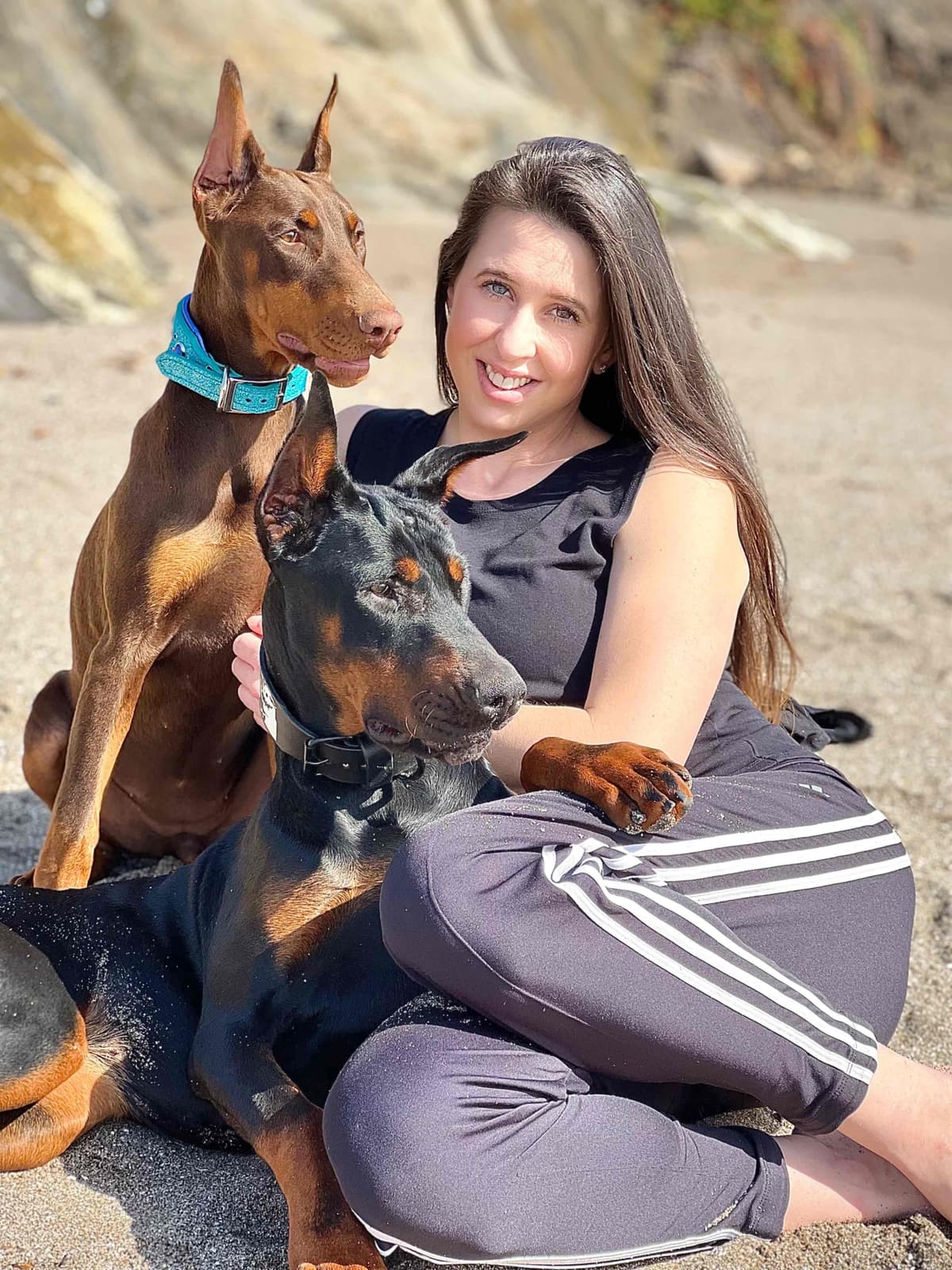 Doberman Pinscher Puppies breeder image 6