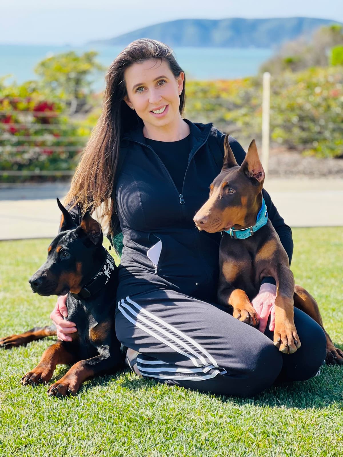 Doberman Pinscher Puppies breeder image 7