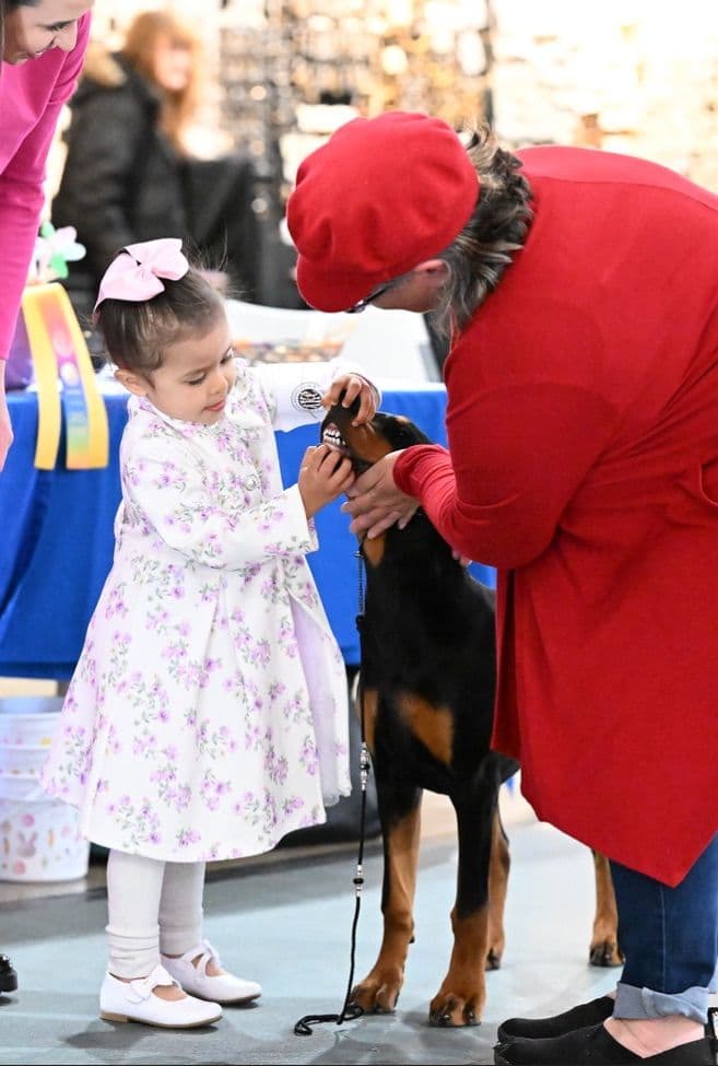 Doberman Pinscher Puppies breeder image 17