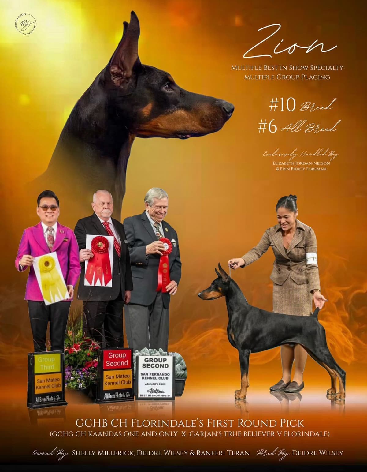 Doberman Pinscher Puppies breeder image 1