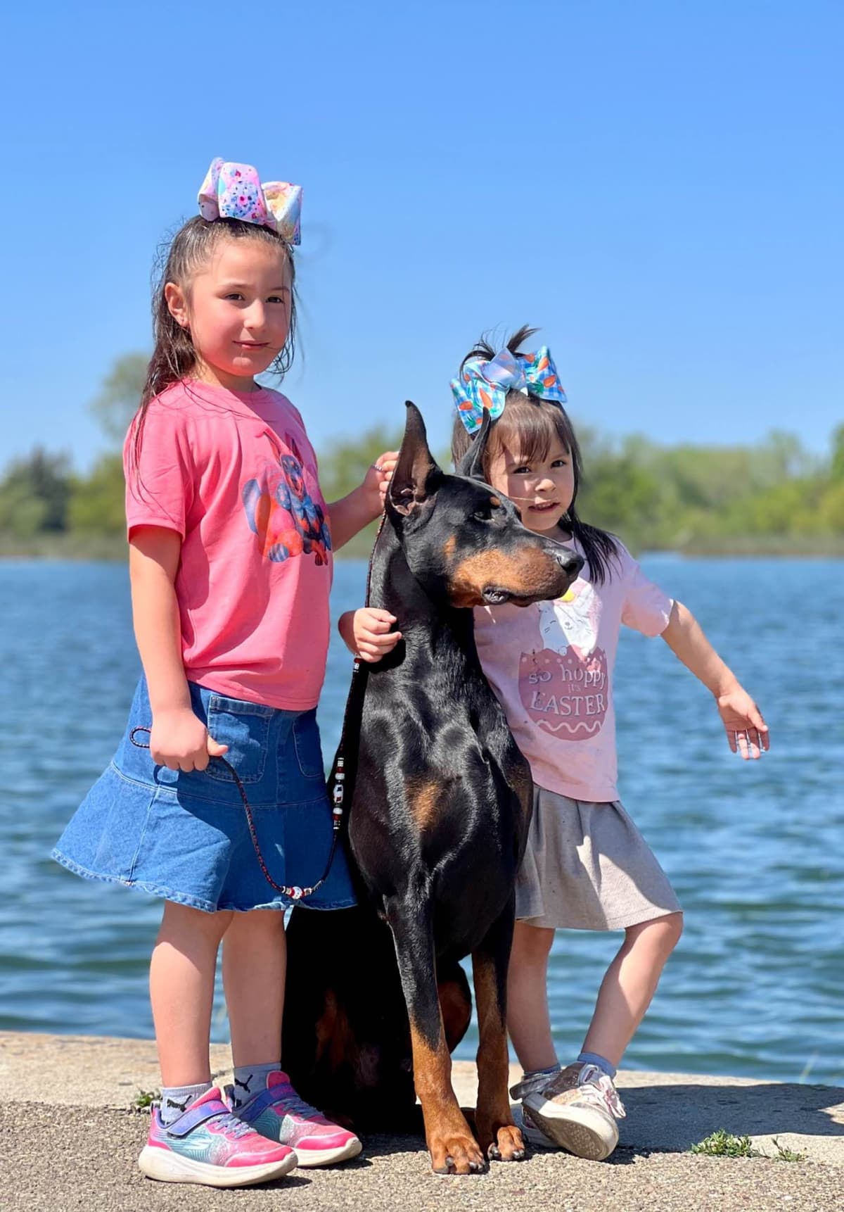 Doberman Pinscher Puppies breeder image 21