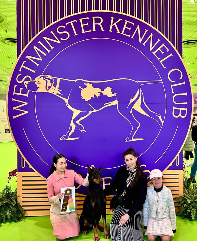 Doberman Pinscher Puppies media 6