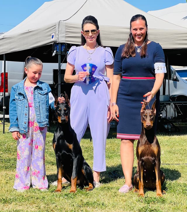 Doberman Pinscher Puppies media 8