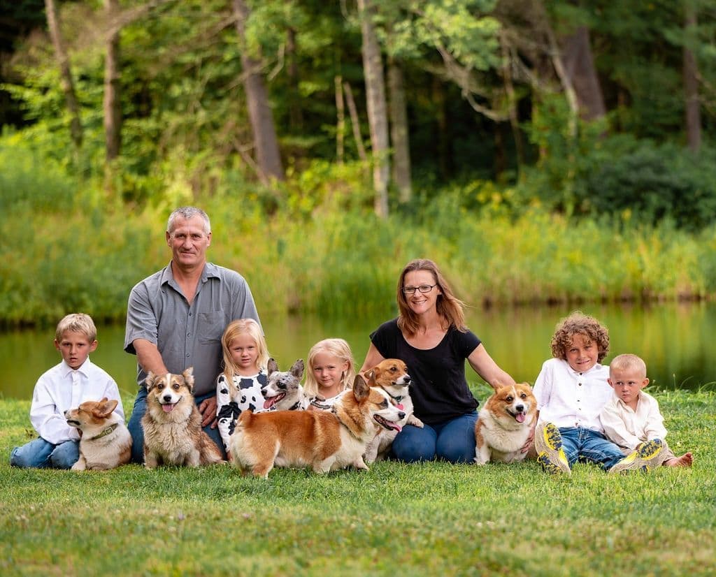 Triple Clear, OFA parents, Corgis breeder image 2