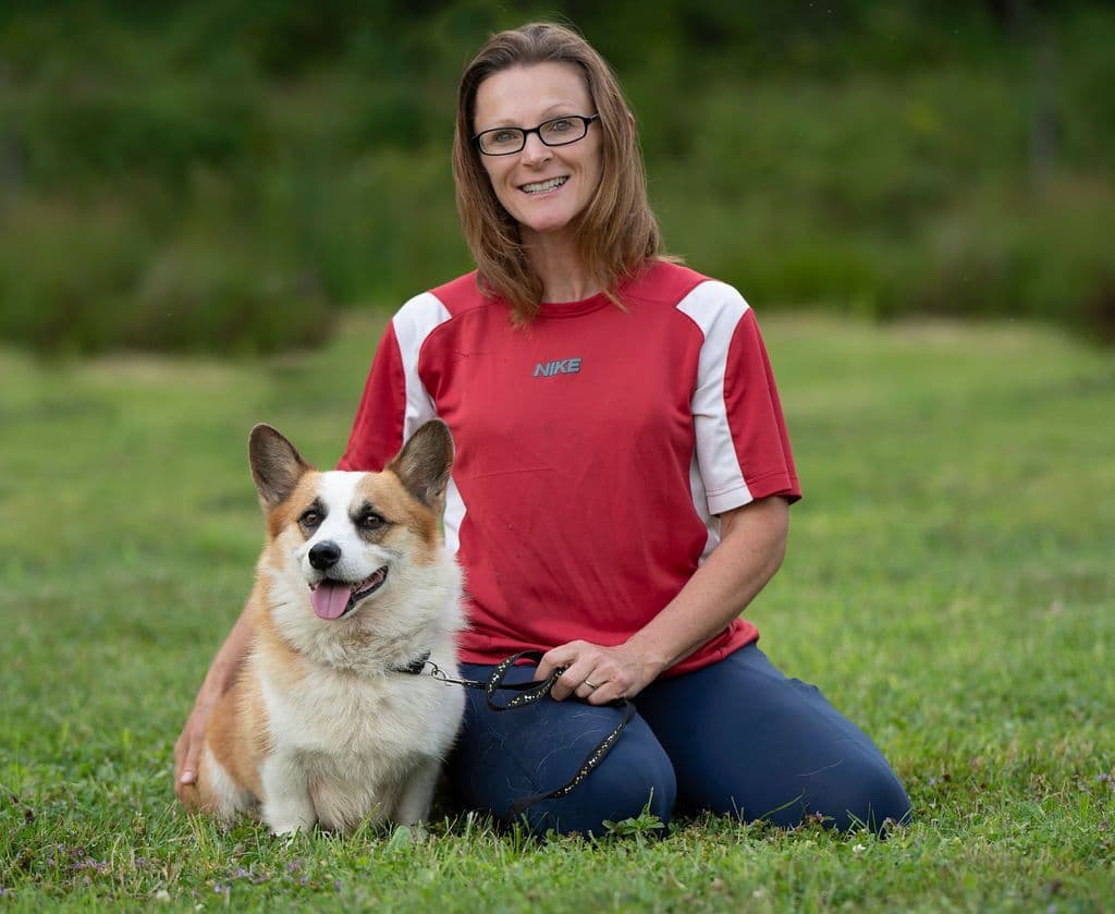 Triple Clear, OFA parents, Corgis breeder image 4